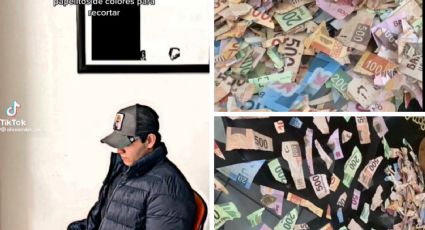 Niña hace pedazos los ahorros de su primo: entra a su habitación y recorta billetes | VIDEO