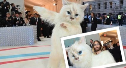 Met Gala 2023: perrito se lleva tremendo susto al ver a Jared Leto vestido de gato | VIDEO