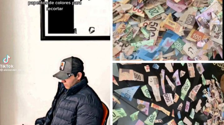 Niña hace pedazos los ahorros de su primo: entra a su habitación y recorta billetes | VIDEO