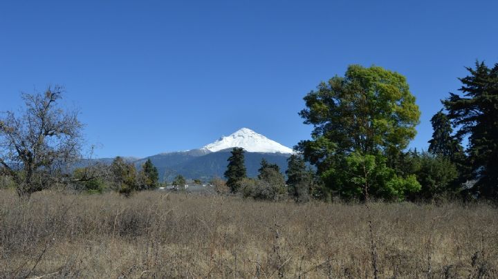 Esto dijo Protección Civil sobre actividad reciente del volcán Popocatépetl | VIDEO