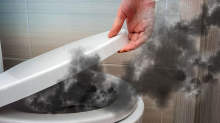 El olor desagradable de tu taza de baño puede ser eliminado con estos remedios baratos