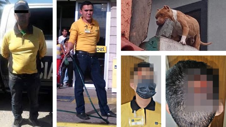 Cobrador de Coppel, entre los empleos más infames; hasta los perros "los descalabran"