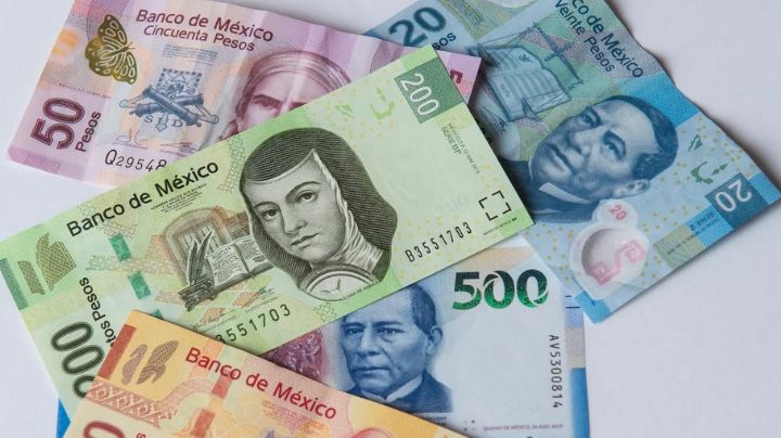 ¿Cuáles son los billetes más falsificados en México este año, según Banxico?