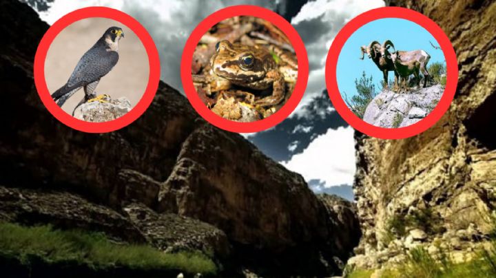 Maderas del Carmen: el paraíso para realizar ecoturismo y tomar fotos increíbles | VIDEO