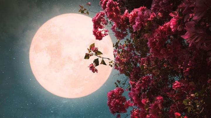 Luna de las Flores: ¿cuándo y dónde ver la noche pintada de rojo?