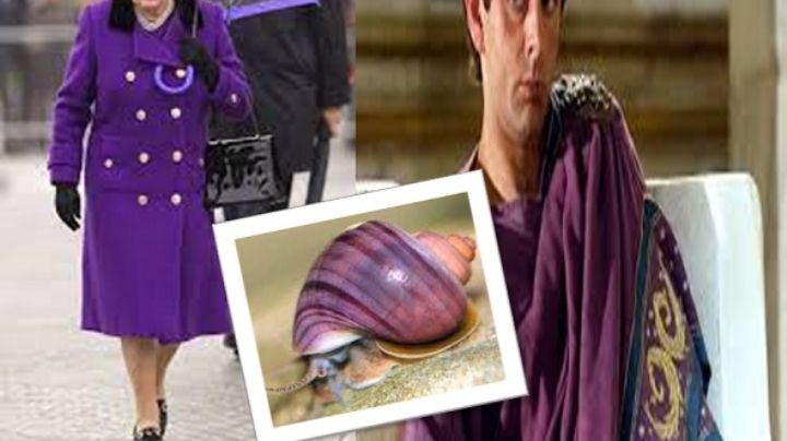 Color morado: símbolo de realeza y poder; ¿cuál es la razón?