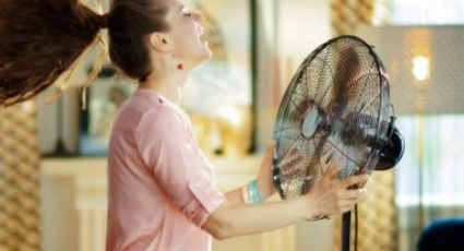 Ola de calor: Los mejores ventiladores para refrescarse, según la Profeco