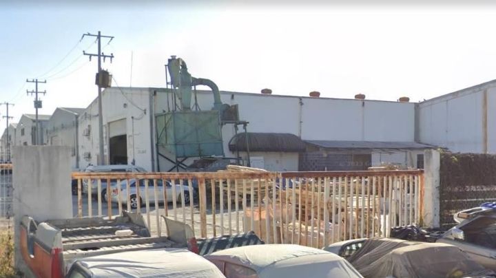 Perrito entra a fábrica sosteniendo mano humana en estado de putrefacción