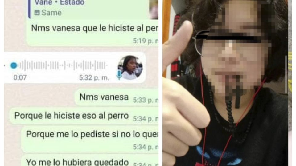 La adolescente confesó el crimen.