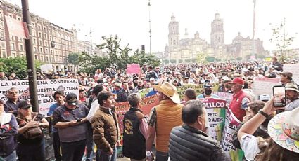 Piden conservar peleas de gallos