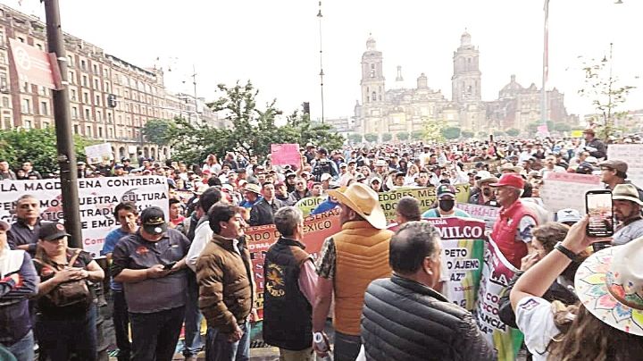 Piden conservar peleas de gallos