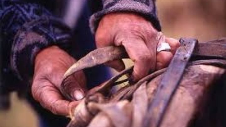 'Me arrepiento de haber nacido en este país': hombre gana 53.50 pesos al día y está desesperado