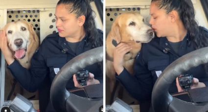 Perro policía se jubila después de años de labores; compañera no puede contener el llanto