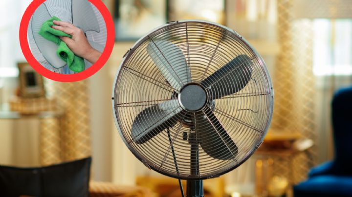 Por este motivo debes limpiar constantemente tu ventilador de pedestal | VIDEO