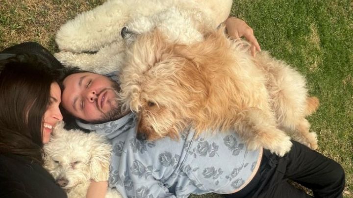 Paul Stanley sufrirá un gran dolor: duermen a su perrito mientras él está en el reality show