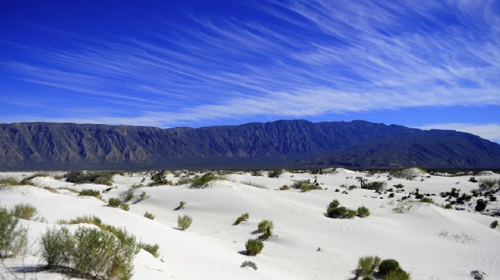 Dunas de yeso en Coahuila: un paraíso surrealista cerca de Nuevo Laredo