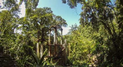 Este impresionante jardín en Xilitla, SLP, parece sacado de un cuento de hadas