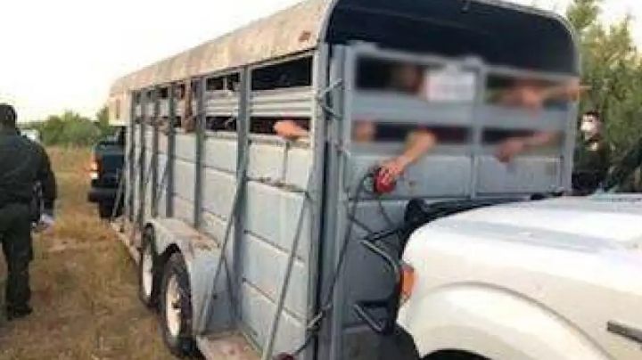 Llevaban a indocumentados en remolque para caballos; los sorprenden tras revisión