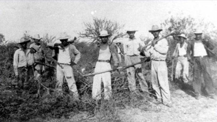 ¿Ya vas al 'jale'? Dónde surgió esa palabra y por qué se usa