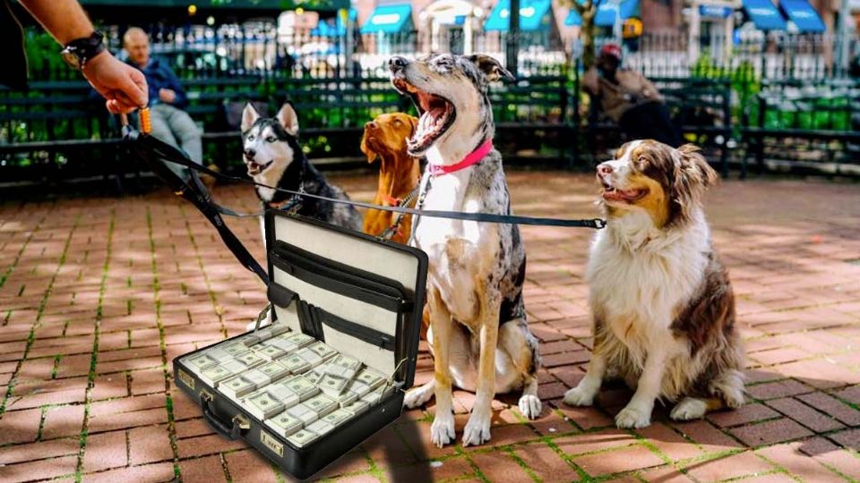 Familia busca cuidador de perros con sueldo de más de 2 millones de pesos