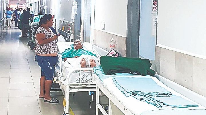 Contingencia de salud por la ola de calor: confirman muerte de cuatro personas