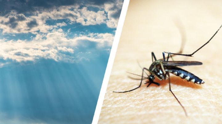 Estas enfermedades se puede propagar por el fenómeno El Niño, según la OMS