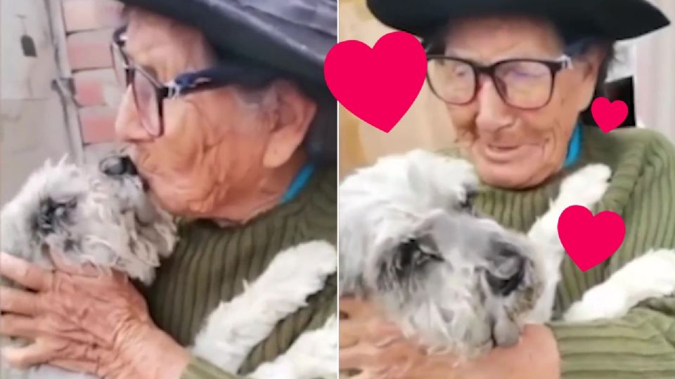 La tierna reacción de la mujer mayor con su inseparable compañero conmovió en las redes sociales