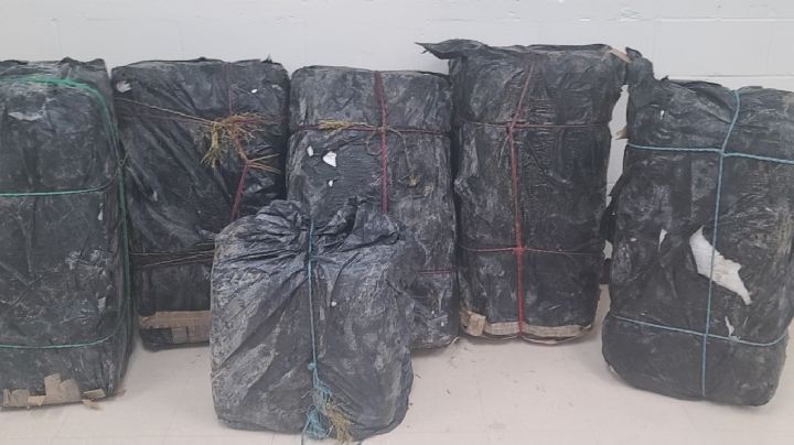 Aseguran 685 libras de marihuana; 'mulas' logran escapar