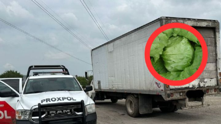 Tira 500 kilos de lechuga en lote baldío; lo detienen y sancionan con jugosa multa