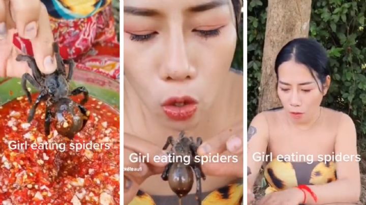 Mujer sorprende al comer tarántulas vivas en TikTok | VIDEO
