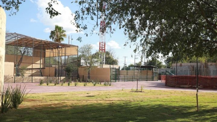 Así va la remodelación del Zoológico de Nuevo Laredo | FOTOS