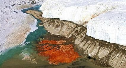 Las impresionantes cataratas de sangre de la Antártida | FOTOS