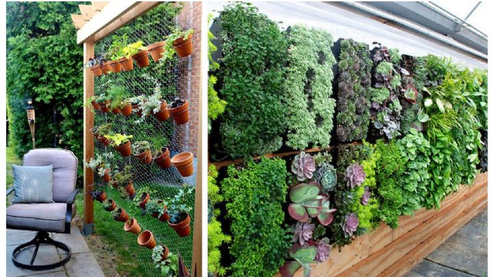 ¿Cómo hacer un jardín vertical?; aquí te decimos paso a paso