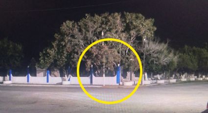 Captan 'fantasma' en cementerio de Tamaulipas: 'los perros ladraban al panteón'