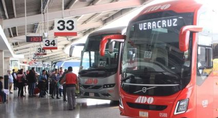 Vacaciones de verano: descuentos hasta del 50% en autobuses, ¿para quiénes aplica? 