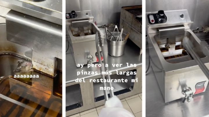 Encuentran a rata en freidora con el aceite hasta el cuello; chef la rescata | VIDEO