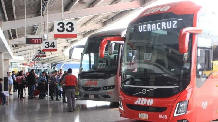 Vacaciones de verano: descuentos hasta del 50% en autobuses, ¿para quiénes aplica? 