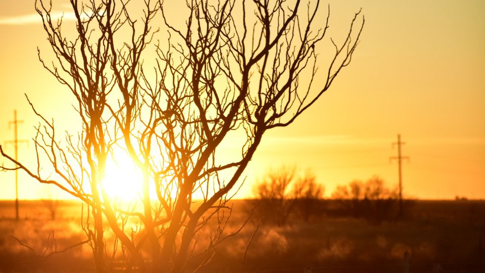 La quinta ola de calor afectará al país