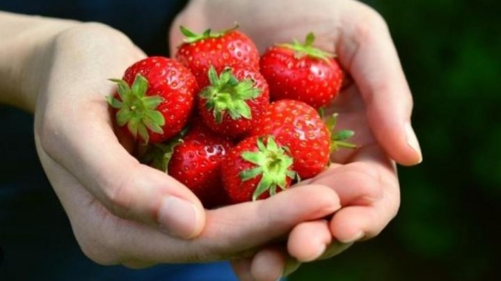 Surge brote de hepatitis en Estados Unidos; retiran fresas mexicanas de los estantes