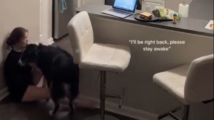 Perro lazarillo asiste a su dueña, previo a que sufra una crisis de taquicardia | VIDEO