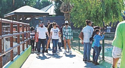 Zoológico y Acuario de Nuevo Laredo reporta alza en visitas; ¿cuál día la entrada es gratis?