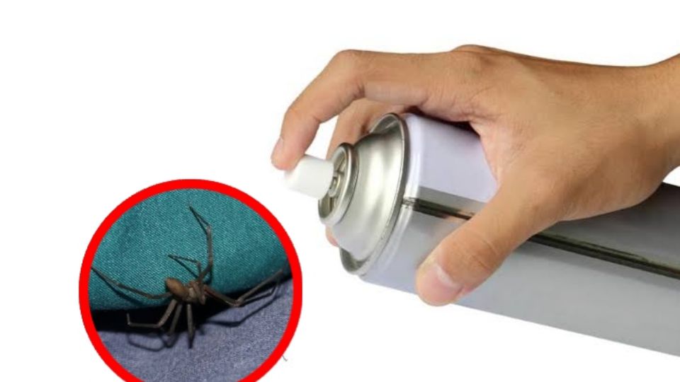 Si los remedios caseros no funcionan, prueba con la química de estos insecticidas especializados