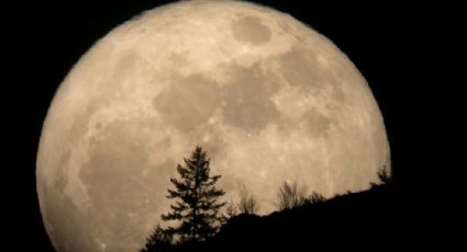 Las dos superlunas más brillantes de agosto, ¿cuándo son y cómo se llaman?