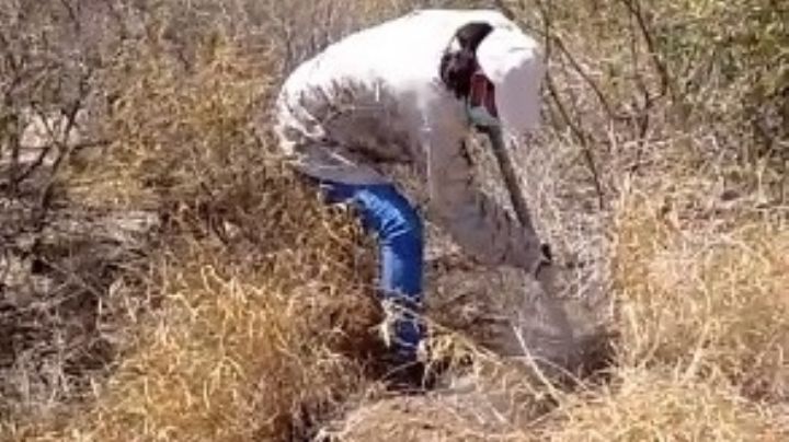 Localizan restos humanos en fosas clandestinas en Reynosa; a algunos los calcinaron | VIDEOS