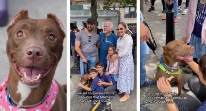 Localizan a su perrita en evento de adopción; cuidador la había perdido