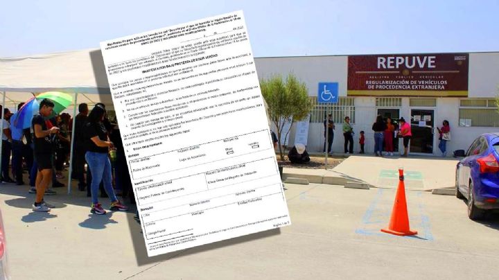 Autos chocolate: como llenar la carta bajo protesta de decir verdad