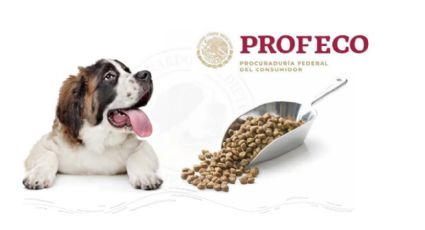 Esta es la marca de croquetas para perro con más proteína, según Profeco