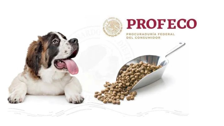 Esta es la marca de croquetas para perro con más proteína, según Profeco
