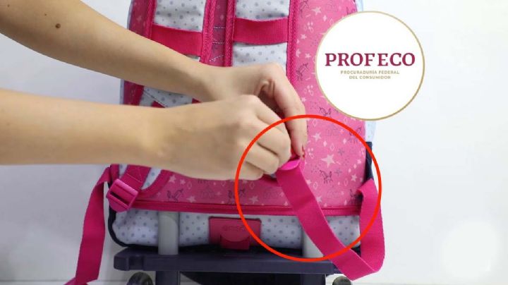 Las mochilas escolares más resistentes y con mejor precio, según Profeco