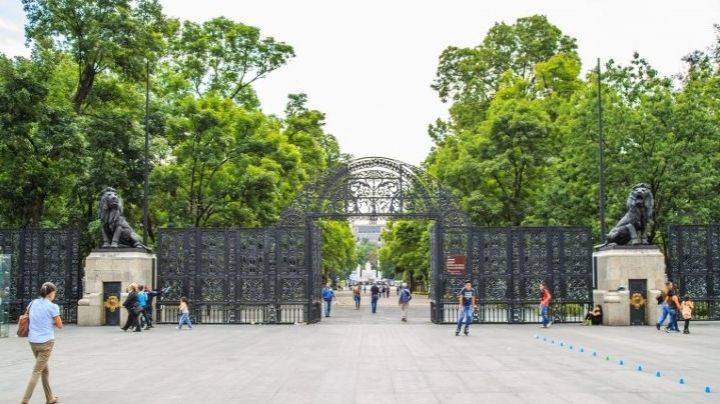 El Zoológico de Chapultepec cumple 100 años; es un orgullo de México